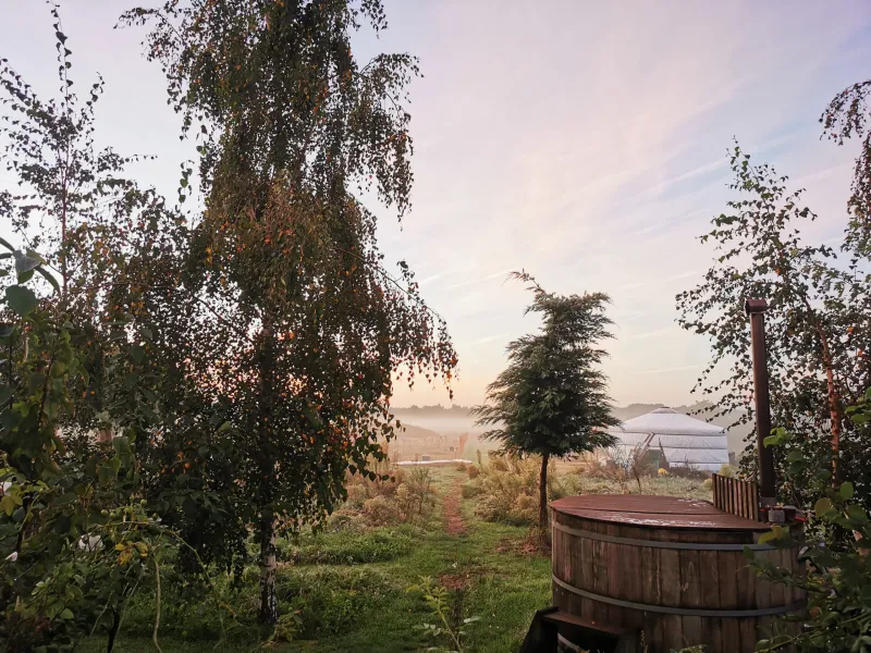 Voedselbos Welcome Home in Baexem